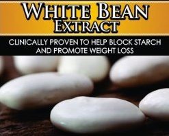 Wholesale White Bean Extract Starch Blocker Supplement Distributor