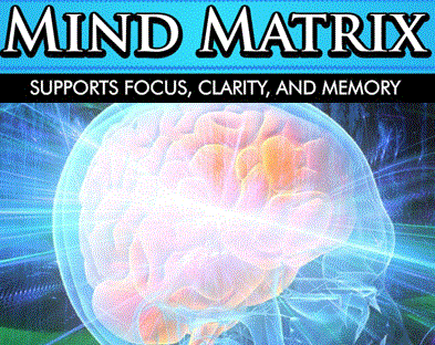 Wholesale Mind Matrix Memory Brain Memory Support Supplements Distributor