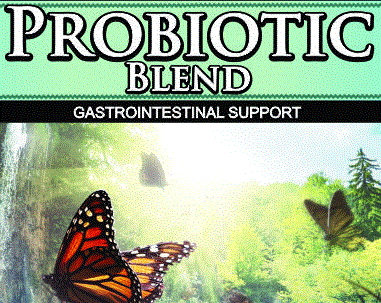 Wholesale Private Label Probiotic Blend Supplement Distributor | Wholesaler Vitamin Supplier
