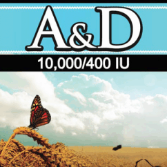 Private Label Vitamin A Vitamin D Wholesale Nutraceutical Supplement Distributor - Bulk Supplements Available