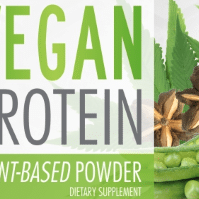 Wholesale Vegan Protein Powder Supplement Distributor - Bulk Supplements Available
