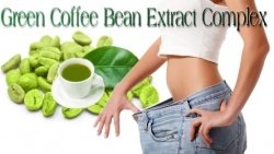 Private Label Green Coffee Bean Supplement Distributor
