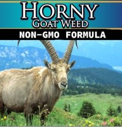 Wholesale Private Label Horny Goat Weed Herbal Complex Supplement Distributor | Wholesale Vitamin Supplier