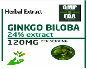 Private Label Ginkgo Biloba Extract Herbal Supplement Distributor | Wholesaler Vitamins