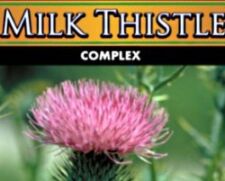 Wholesale Milk Thistle Supplement Supplier Wholesale Private Label Milk Thistle Supplement
