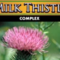 Wholesale Milk Thistle Supplement Supplier Wholesale Private Label Milk Thistle Supplement