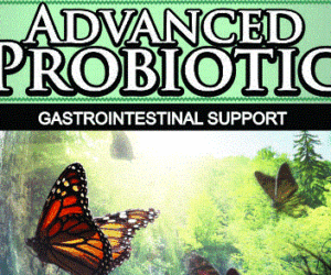 Wholesale Advanced Probiotic Supplement Private Label Advanced Probiotic Supplement Supplier