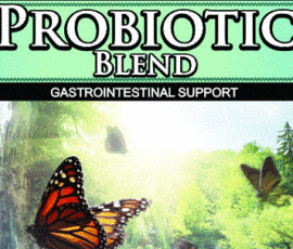 Probiotic Blend Wholesale Supplement Supplier Wholesale Probiotic Blend Supplement Distributor
