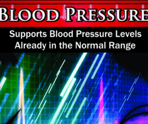 Wholesale Blood Pressure Support Supplement | Wholesale Vitamin Distributor Supplement Supplier Wholesale Blood Pressure Support Supplement | Wholesale Vitamin Distributor Supplement Reseller