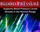Wholesale Blood Pressure Support Supplement | Wholesale Vitamin Distributor Supplement Supplier Wholesale Blood Pressure Support Supplement | Wholesale Vitamin Distributor Supplement Reseller