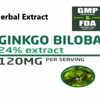HOT New Private Private Label Supplement Products Ginkgo Biloba Private Label Supplement Products Ginkgo Biloba Ginkgo Biloba 24 percent HOT New Private Label Supplement Products