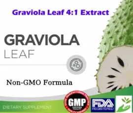 Wholesale Graviola Leaf Soursop Supplement Distributor - Discover the benefits of Soursop From inflammation support to antioxidant properties, learn why Graviola is the must-have superfood of 2026 Private Label Soursop Graviola Leaf Supplement - Wholesale Graviola Leaf Soursop Supplement Distributor