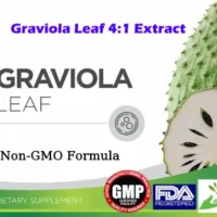 Wholesale Graviola Leaf Soursop Supplement Distributor - Discover the benefits of Soursop From inflammation support to antioxidant properties, learn why Graviola is the must-have superfood of 2026 Private Label Soursop Graviola Leaf Supplement - Wholesale Graviola Leaf Soursop Supplement Distributor