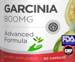 Wholesale Private Label Garcinia Cambogia 800MG Wholesale Private Label Garcinia Cambogia 800MG